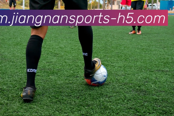 江南体育平台生态图